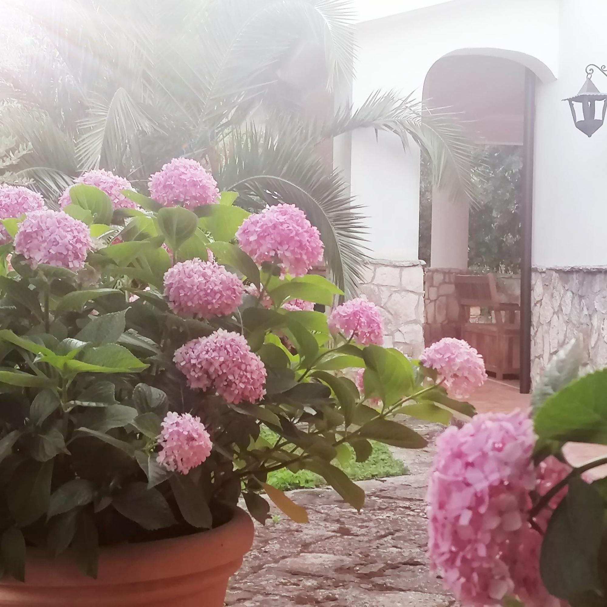 Casa Marisa Villa Vacanza 卡斯特拉纳格罗泰 外观 照片