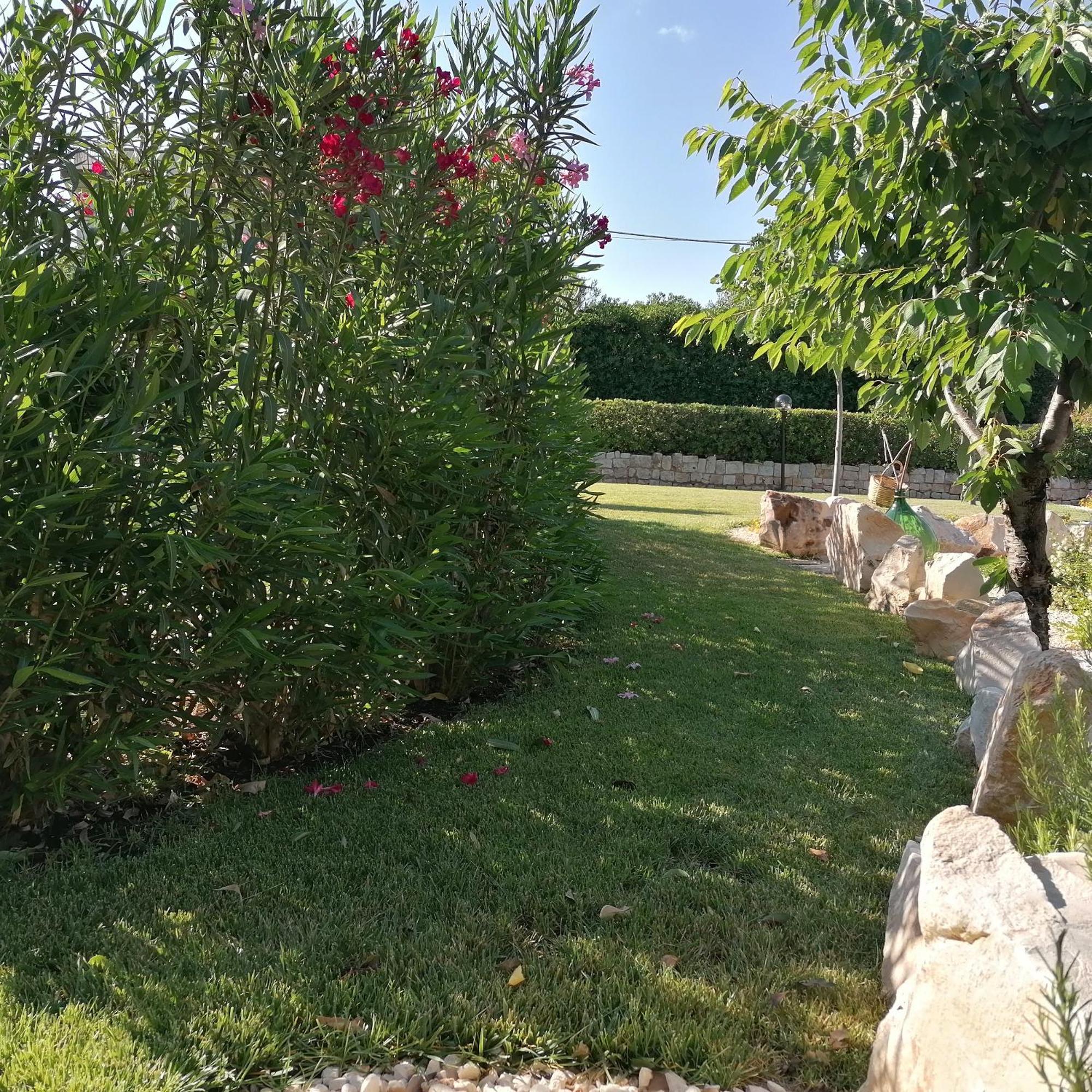 Casa Marisa Villa Vacanza 卡斯特拉纳格罗泰 外观 照片